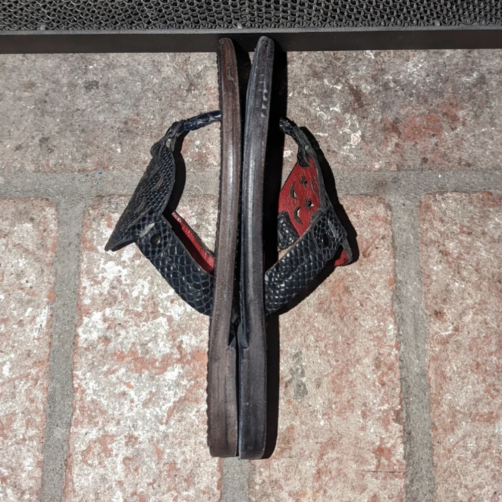 Freebird by Steven freebird by